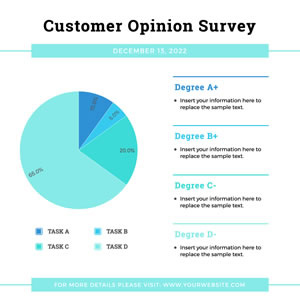 Customer Survey Pie Chart Chart Design