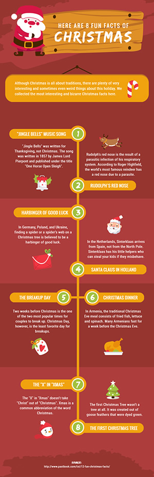Fun Facts About Christmas Infographic Design