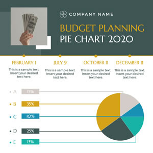 Company Budget Planning Pie Chart Design