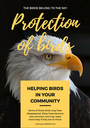 Feral Eagle Bird Protection Poster Poster Design