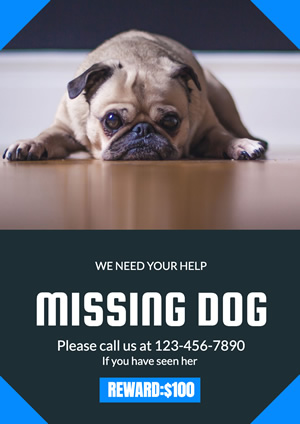 Rewarded Missing Dog Poster Poster Design