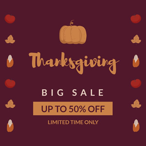 Limited Time Thanksgiving Sales Instagram Post Design