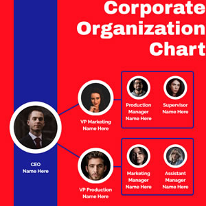 Corporate Organization Chart Chart Design