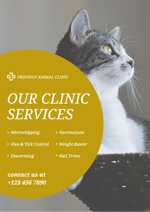 Cat Photo Animal Clinic Poster Design