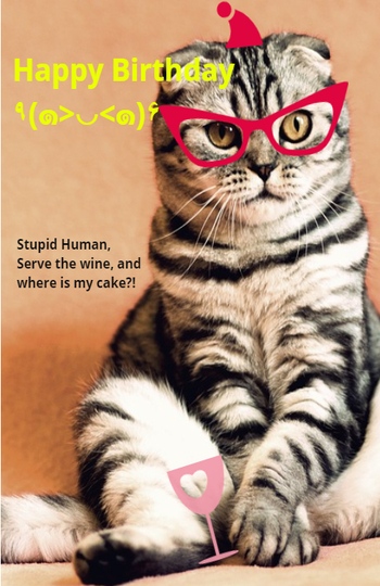 cute-cat-birthday-card-ideas-card-ideas