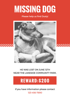 missing pet poster template