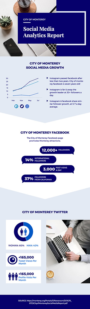 Social Media Analytics Report Infographic Design